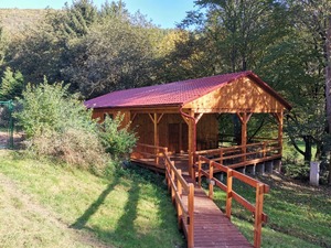 IMG_20231015_150656